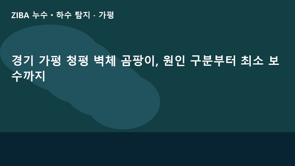 경기 가평 청평 벽체 곰팡이, 원인 구분부터 최소 보수까지