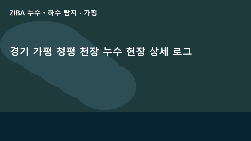 경기 가평 청평 천장 누수 현장 상세 로그