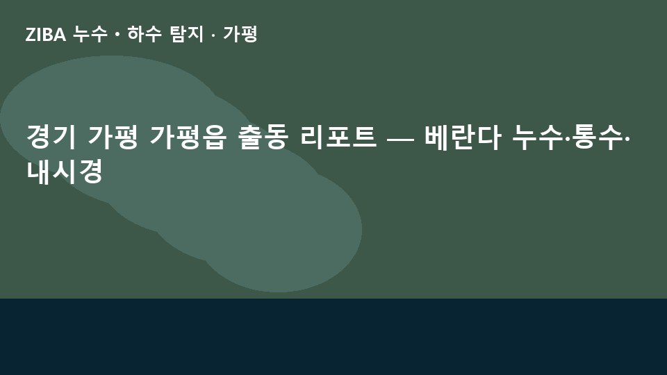 경기 가평 가평읍 출동 리포트 — 베란다 누수·통수·내시경