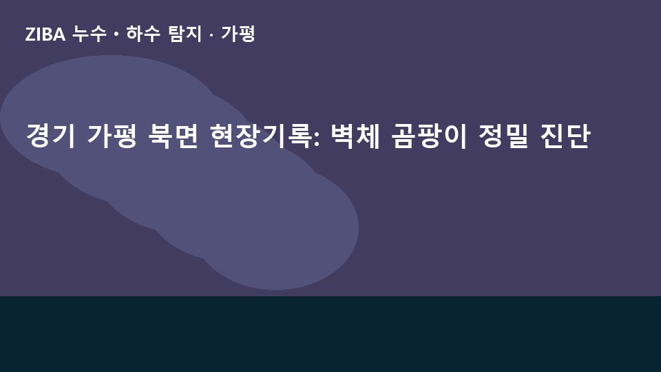 경기 가평 북면 현장기록: 벽체 곰팡이 정밀 진단